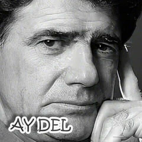 Ay Del album art