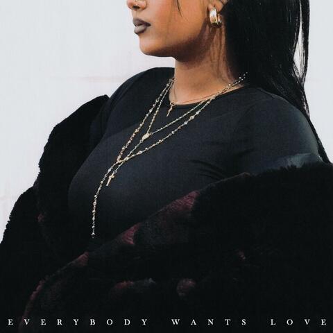 Everybody Wants Love album art