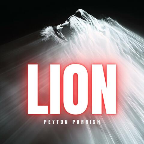 LION album art