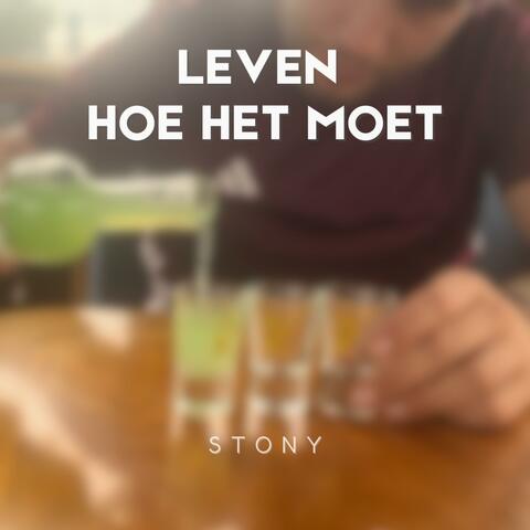 Leven hoe het moet album art