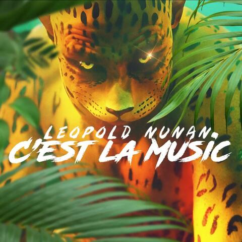 C'est la Music (Lucio K Remix) album art