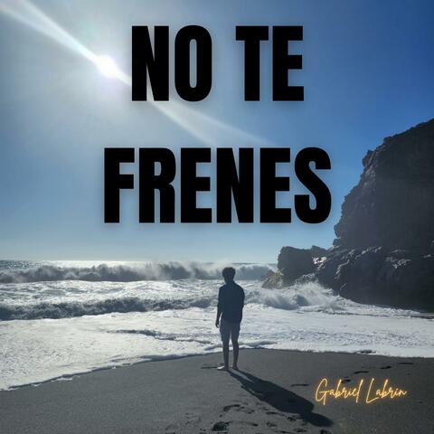No Te Frenes album art