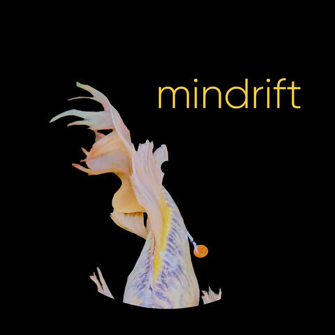 mindrift album art