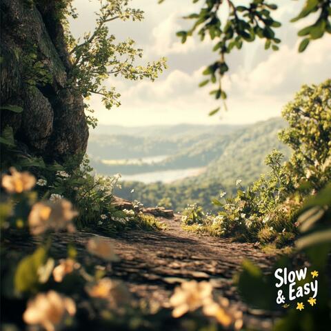 Slow & Easy album art