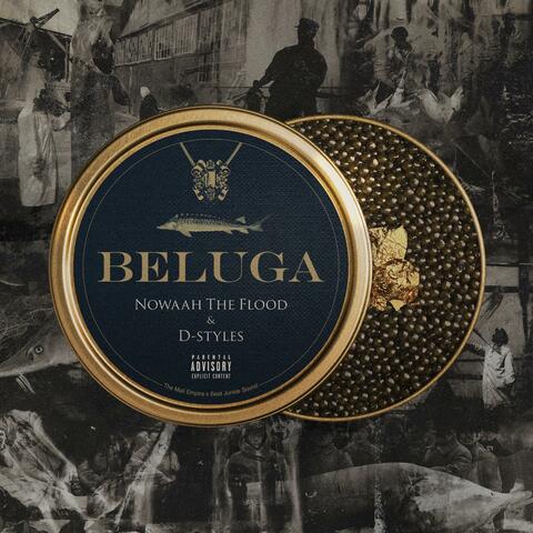 BELUGA album art
