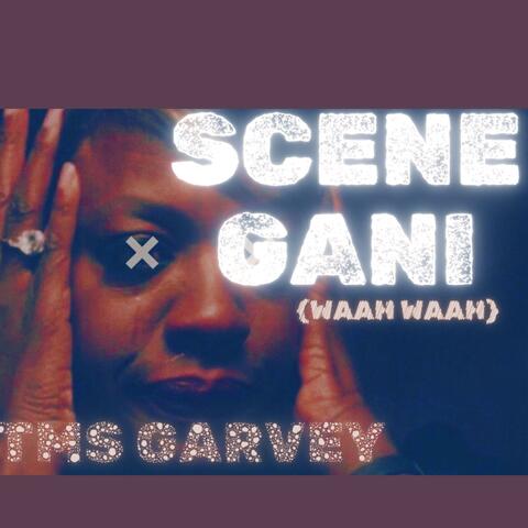 SCENE GANI (WAH WAH) album art