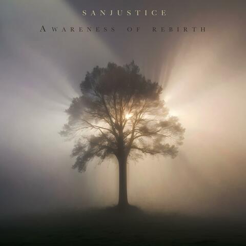 Awareness Of Rebirth album art