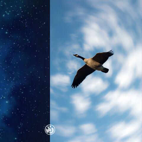 Fading Away album art