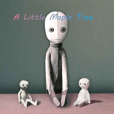 A Little Maple Tree album art