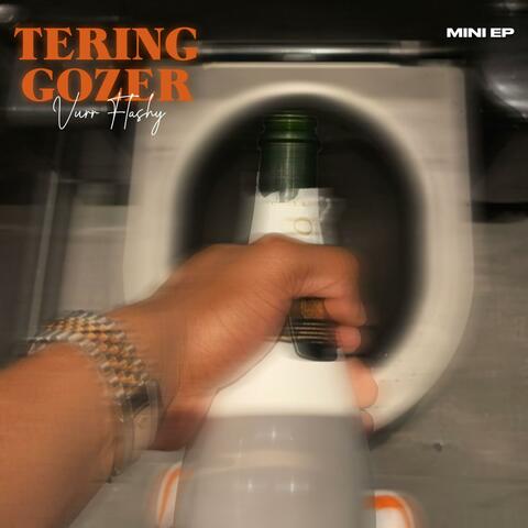 Tering Gozer album art