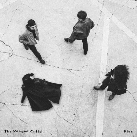 Plec album art