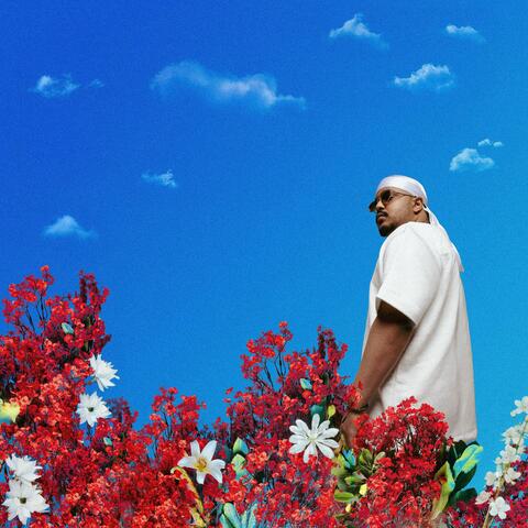 The one who loves album art