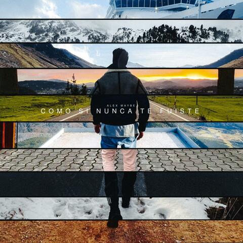 Como Si Nunca Te Fuiste album art