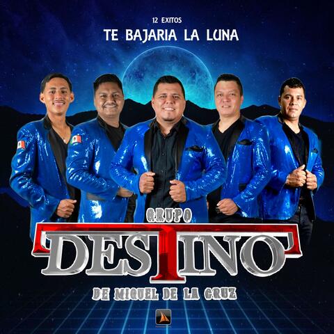 Te bajaria la luna album art