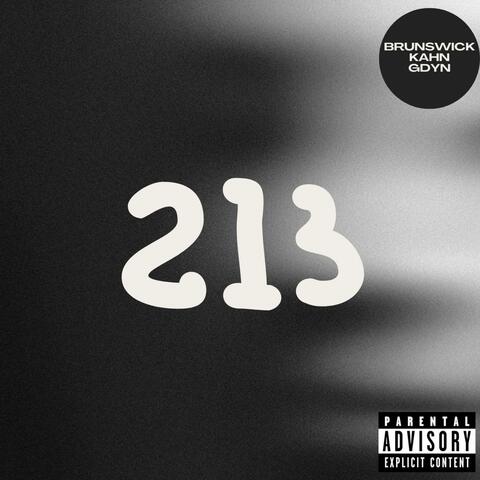 213 album art