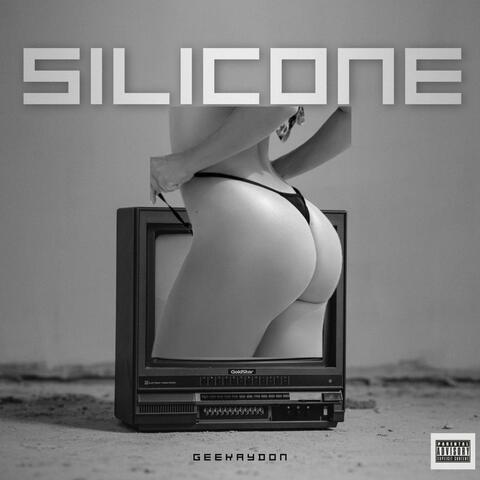 Silicone album art