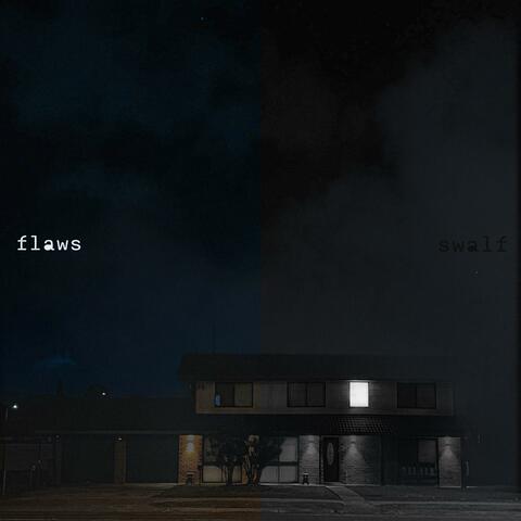 flaws album art