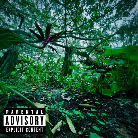 pace album art
