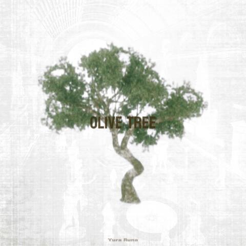 Olive Tree album art