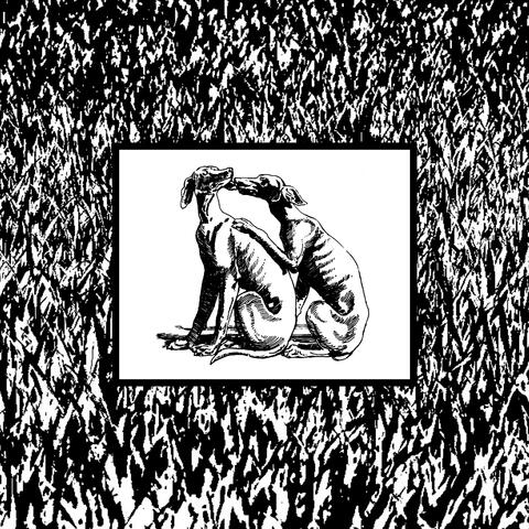 Second First Time (Again) album art