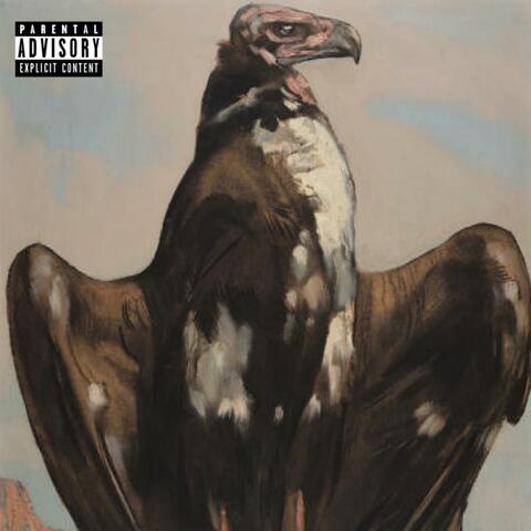 Lifestyle album art