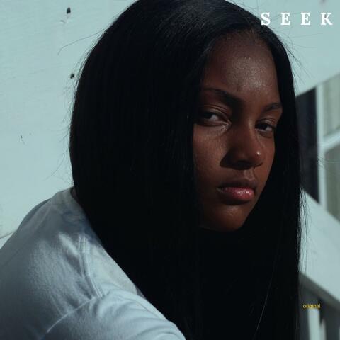 Seek album art
