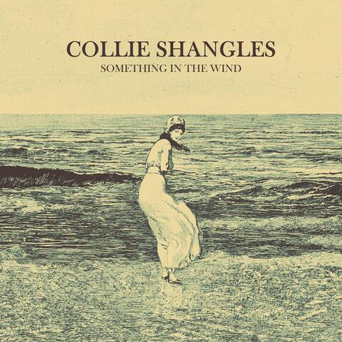 Something in the Wind album art