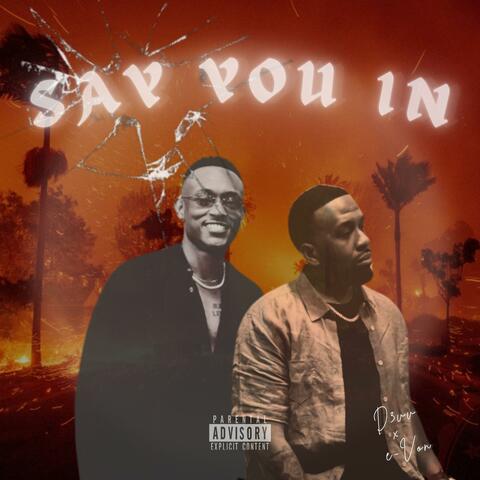 Say You in (feat. e-Von) album art