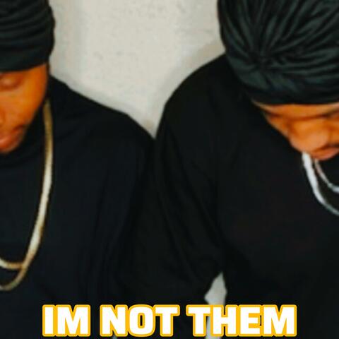 Im not them album art