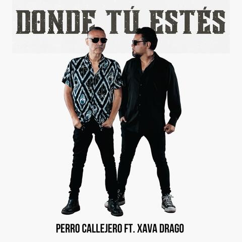 Donde Tú Estés (feat. Xava Drago) album art