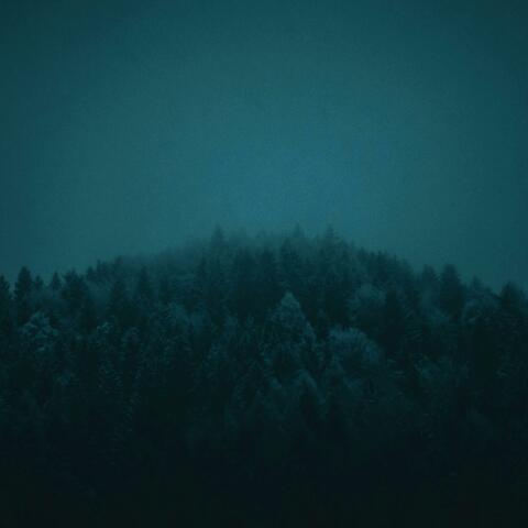 1 album art