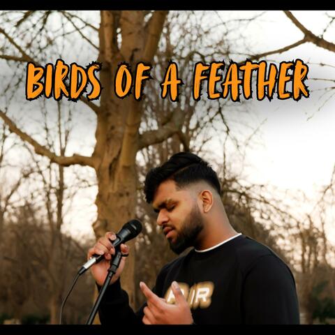 Birds Of A Feather album art