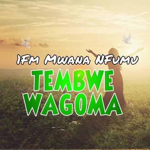 1FM Mwana Mfumu Tembwe Wangoma album art