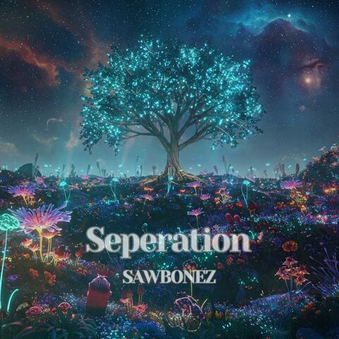 Seperation album art