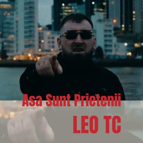 Asa Sunt Prietenii album art