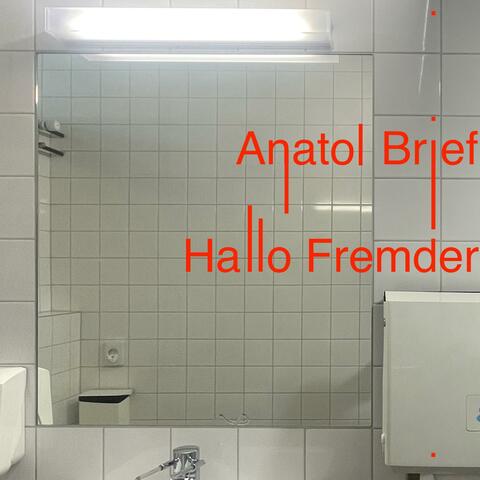 Hallo Fremder album art