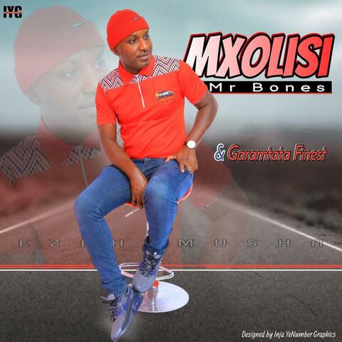Udumo Liyasetshenzelwa album art