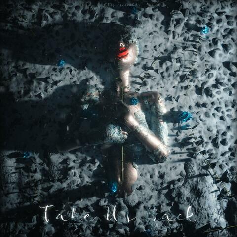 Take Us Back album art