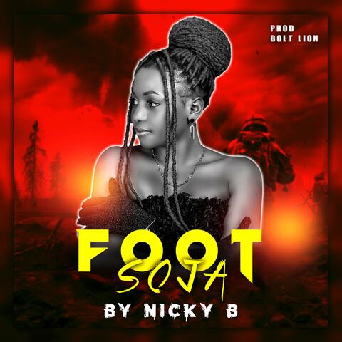 FOOT SOJA album art