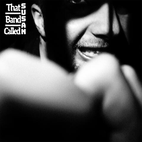 The Attic album art