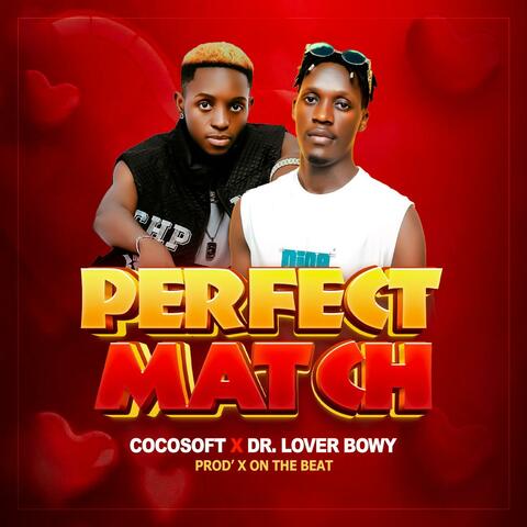 Perfect Match (feat. Dr Lover Bowy) album art