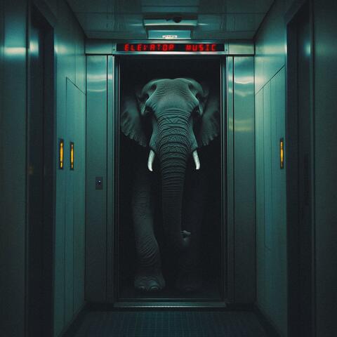 Elevator Music album art