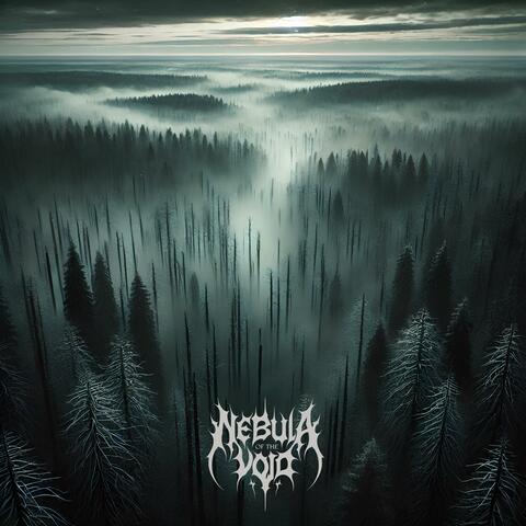 Nebula Of The Void album art