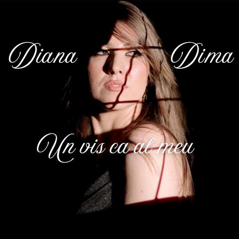 Un vis ca al meu album art