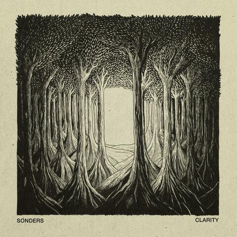 Clarity album art