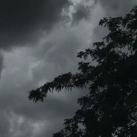 Rainproof album art