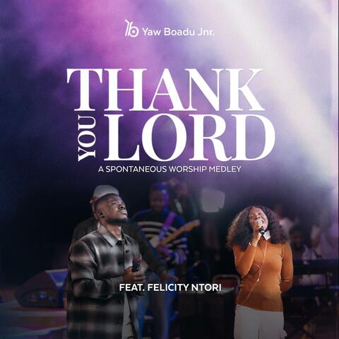 Thank You Lord (a spontaneous worship medley) (feat. FELICITY NTORI) album art