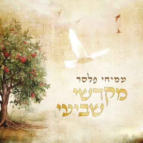 מקדשי שביעי album art