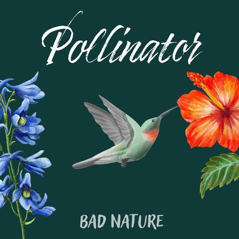 Pollinator album art