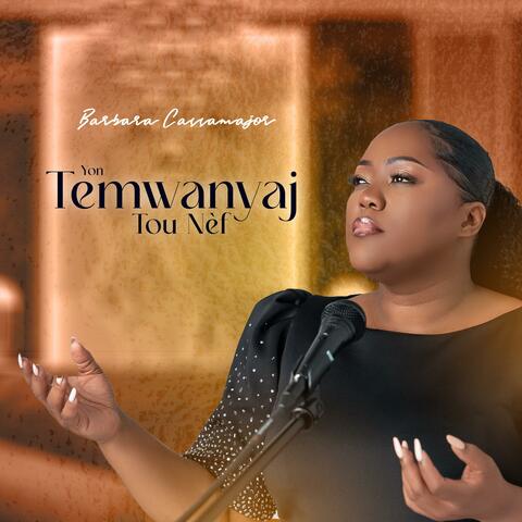Yon Temwanyaj Tou Nèf album art